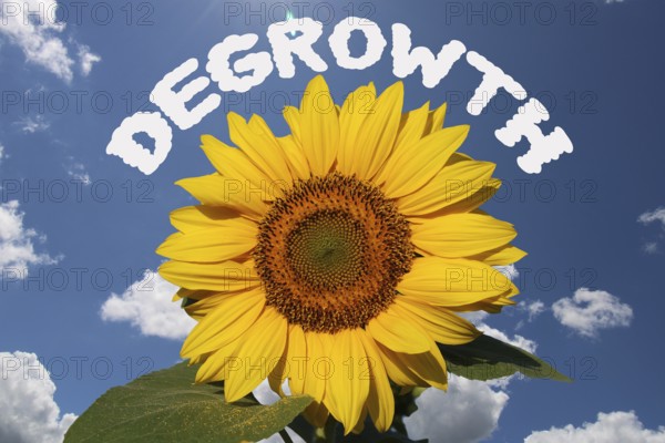 Symbolic image of degrowth: the anti-growth movement calls for a reduction in consumption and