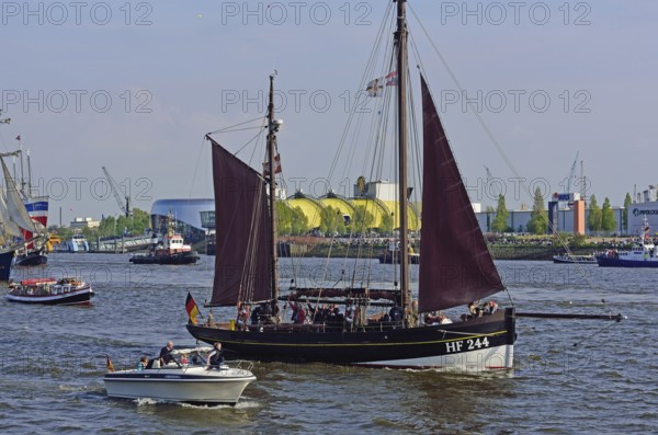 Germany, Hamburg, harbour birthday, parade of departure, historic fishing boat HF 244, Hamburg,