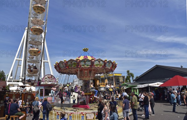 Europe, Germany, Hamburg metropolitan region, Lower Saxony, Stade district, Buxtehude, Neukloster,