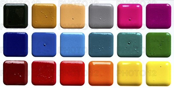 Watercolor paints in a plastic box, on a white background, top view, close-up, no people