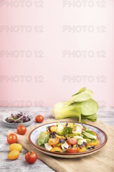 Vegetarian salad of pac choi cabbage, kiwi, tomatoes, kumquat, microgreen sprouts on gray and pink