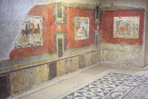 Murals in Museo Nacional de Arte Romano, national museum of Roman art, Merida, Extremadura, Spain,