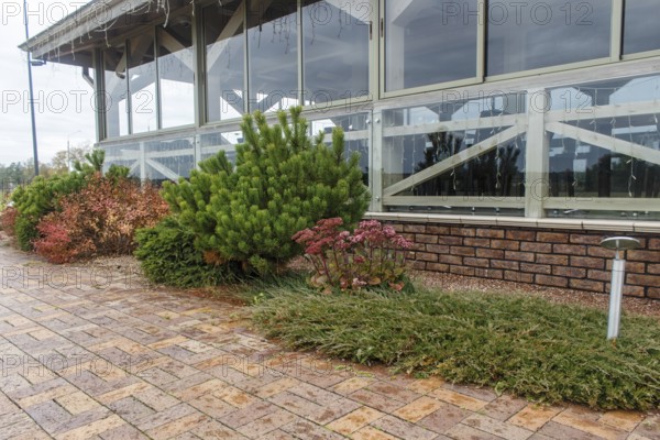 Modern restaurant with green lawn, tile path and landscape design with ornamental grasses and