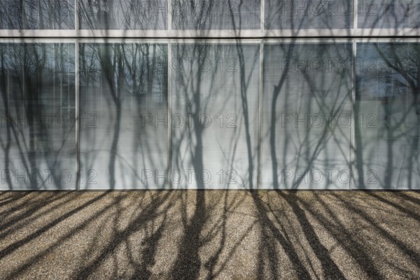Modern architecture, office building, architects Sejima & Nishizawa (SANAA), Novartis Campus,