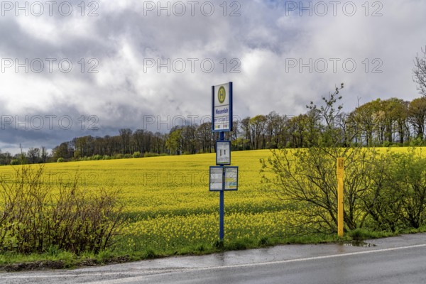 Bus stop, local transport in the countryside, near Breckerfeld, Neuenloh stop, on the L528,