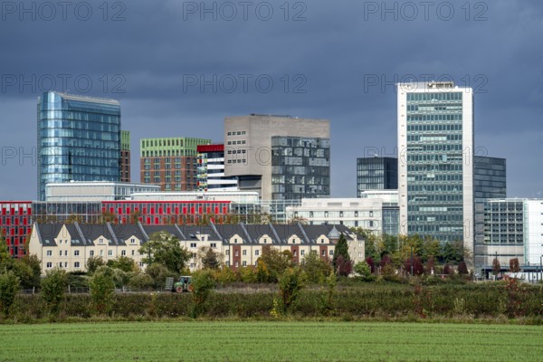 Düsseldorf city centre skyline, Media Harbour, residential buildings in the Hamm district