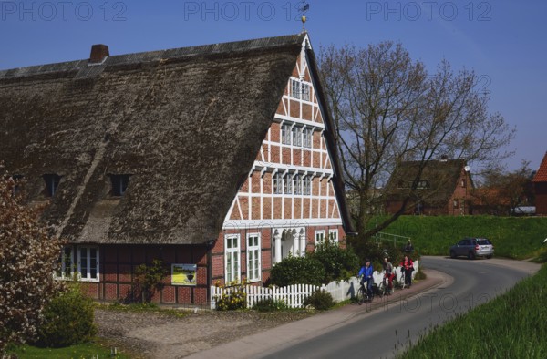 Europe, Germany, Lower Saxony, Altes Land near Hamburg, Steinkirchen an der Lühe, old half-timbered