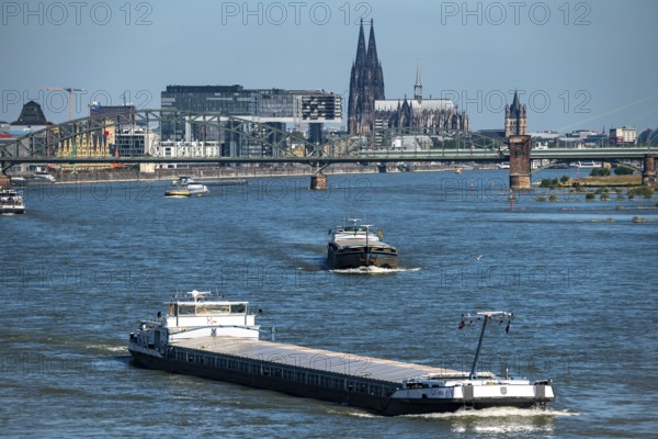 Crane houses, at the customs harbour, Cologne-South, residential and office high-rise buildings,