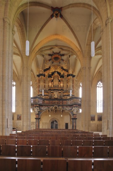 Organ of the Gothic UNESCO Severi Church, St Severi, interior view, Domplatz, Erfurt, Thuringia,