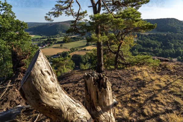 Landscape in the Rureifel, view of the countryside, near Nideggen, Düren district, North