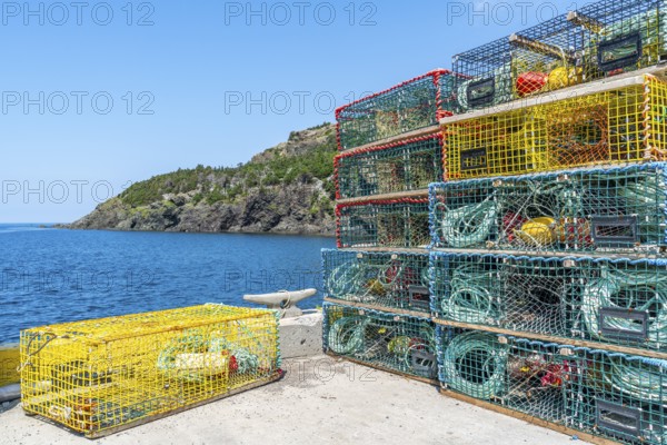Stack of lobster pots in the harbour of the fishing village of Lark Harbour, Bay of Islands,
