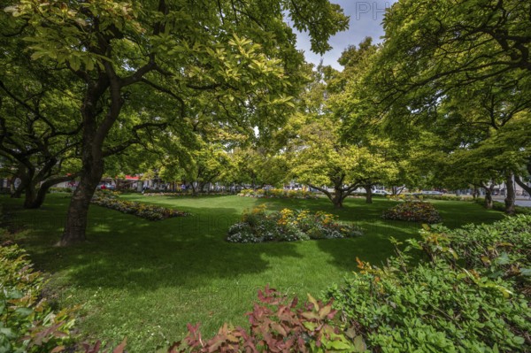 Kaisergärtchen a park with magnolia trees and flower beds in front of the Würzburg railway station
