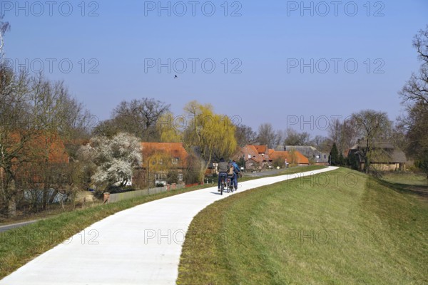 Three people walking and cycling along a path past blossoming trees, Elbe dyke, Damnatz, Wendland,