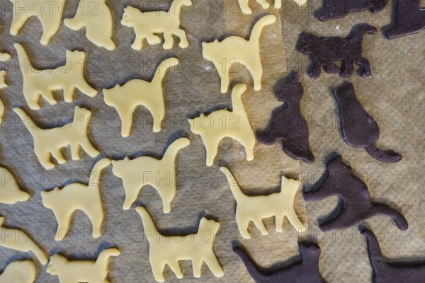 Swabian cuisine, Swabian Christmas biscuits, preparation of Ausstecherle, shortbread biscuits, cat