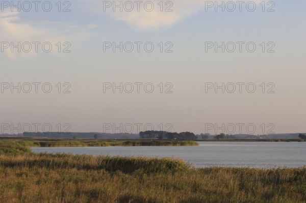 On the Baltic Sea near Peenemünde, September, Mecklenburg-Western Pomerania, Germany, Europe