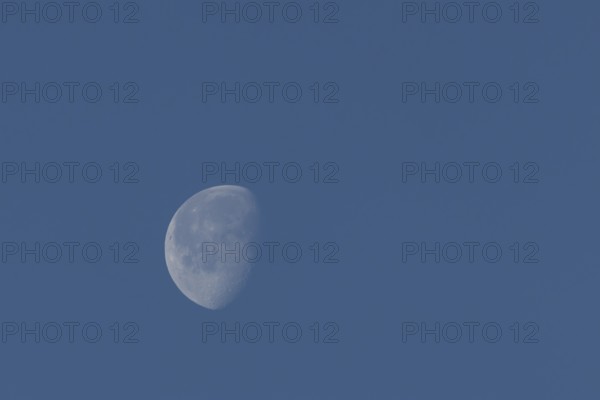The moon at the waning gibbous stage in the evening sky, England, United Kingdom, Europe