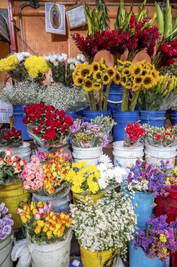 Market stallSales stall with cut flowers, Mercado Central de San José, San José, Costa Rica,