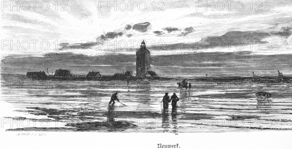 Neuwerk Island with lighthouse, Hamburg, North Sea, Elbe estuary, mudflats, low tide, horse-drawn