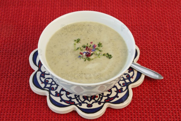 Swabian cuisine, Alblinsen chestnut soup, healthy, vegetarian, regional, soup served in a bowl with