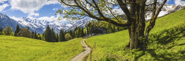 Berggasthof Hochleite, behind it the Allgäu Alps, Allgäu, Bavaria, Germany, Europe
