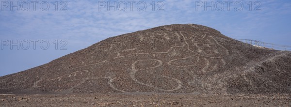 Aerial, The Cat, Nazca geoglyph, Nazca Lines, Nazca, Peru, South America