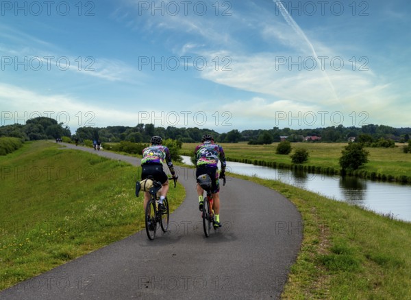 Cyclist on a cycle path by the river, landscape in the Lower Oder Valley National Park, Criewen,