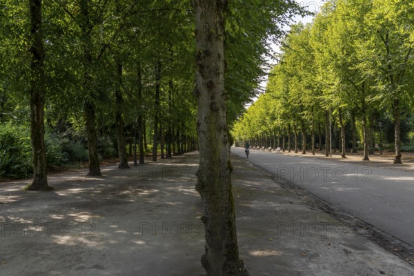 The Jägerhofallee in the Hofgarten, the central municipal park in Düsseldorf, North
