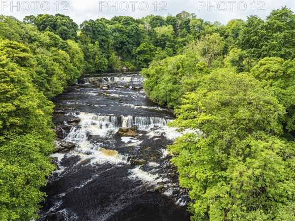 Aysgarth Falls on River Ure from a drone, Yorkshire Dales National Park, North Yorkshire, Englan