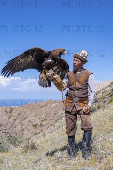 Traditional Kyrgyz eagle hunter with eagle in the mountains, near Kysyl-Suu, Kyrgyzstan, Asia