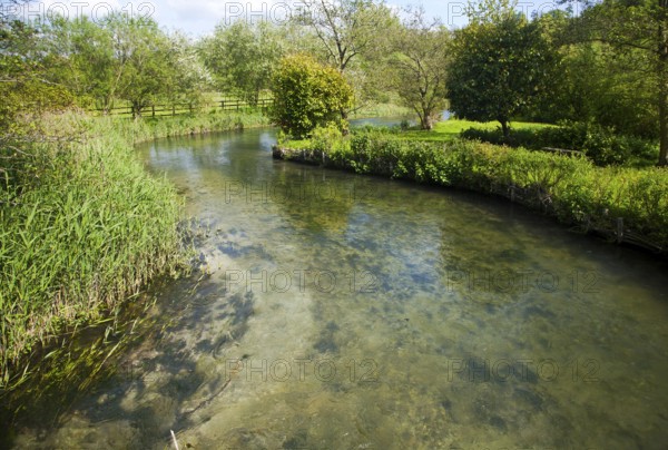Clear water of meandering River Kennett chalk stream at Axford, Wiltshire, England, United Kingdom,