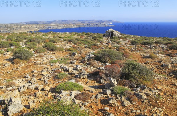 Coastal scenery vegetation blue sea looking south from Res il-Qammieh, Marfa Peninsula, Republic of