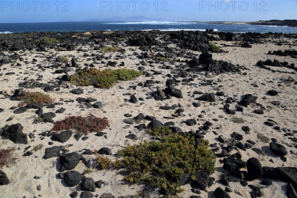 Beach rocks and white sand, near Majanicho on north coast of Fuerteventura, Canary Islands, Spain,