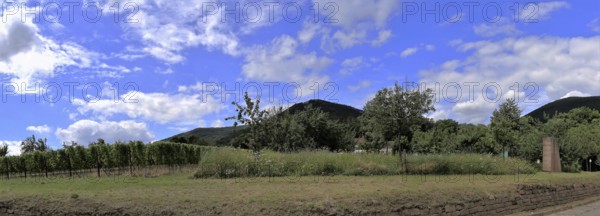 View from Edenkoben towards the Palatinate Forest with the Blättersberg in the centre of the