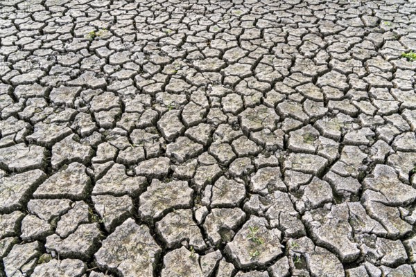 Dry ground, cracked, dried-up riverbed, in a branch of the Rhine, near Duisburg