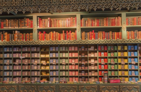 Shelf wall with decorative books and tinned food in bright colours, sardine tins, tinned sardines,
