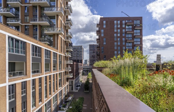 De Groene Kaap residential complex, in the Rotterdam Feijenoord district, on the Maashaven,