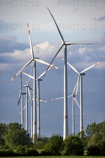 Wind farm north of Bedburg, at the Garzweiler opencast mine, on recultivated part of the opencast
