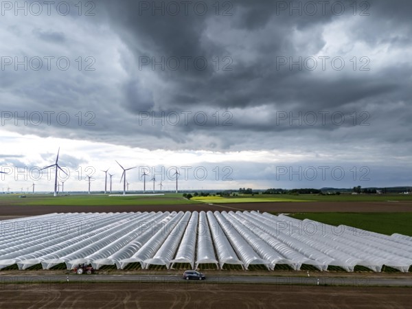 Agriculture, large areas with foil tunnel, for the cultivation of strawberries, freshly cultivated