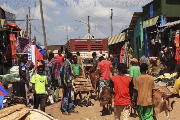 South Ethiopia, market in Jinka, market day, trade, market scene, Ethiopia, Africa