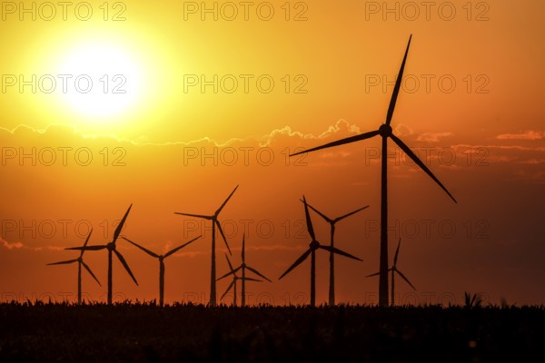 Sunset at a wind farm, Mallnow