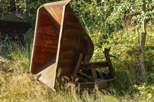 Old dilapidated rusty wagons of a light railway in an abandoned quarry, West Lusatia, Saxony,