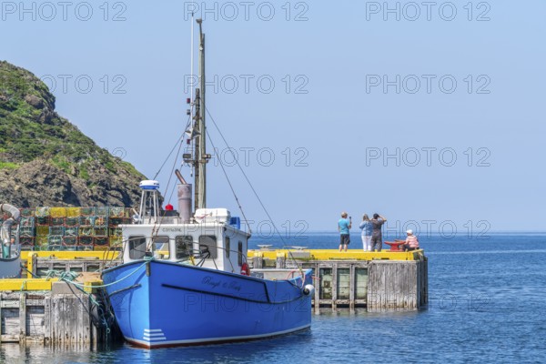 Blue fishing boat and tourists in the harbour of the fishing village Lark Harbour, Bay of Islands,