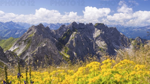 Panorama from the Großer Daumen (2280m) to the Daumengruppe with Wengenkoepfe to the Nebelhorn