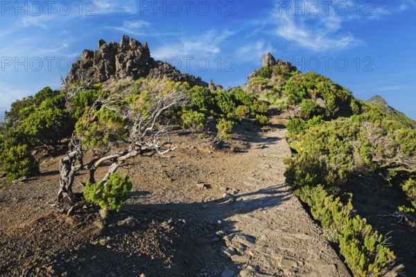View from hike trail path to Pico Ruivo, Madeira