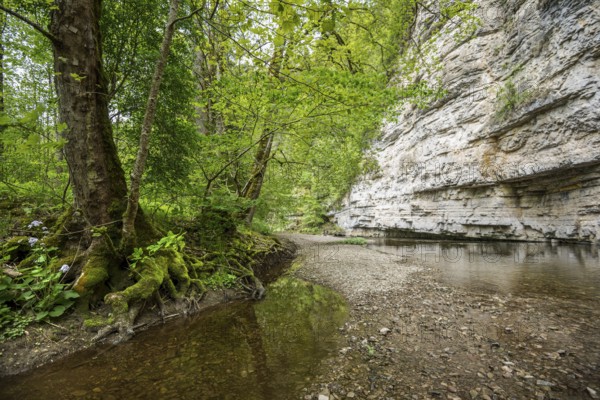 Steep cliffs and river, Wutach Gorge, Bonndorf, Baden-Württemberg, Black Forest, Germany, Europe