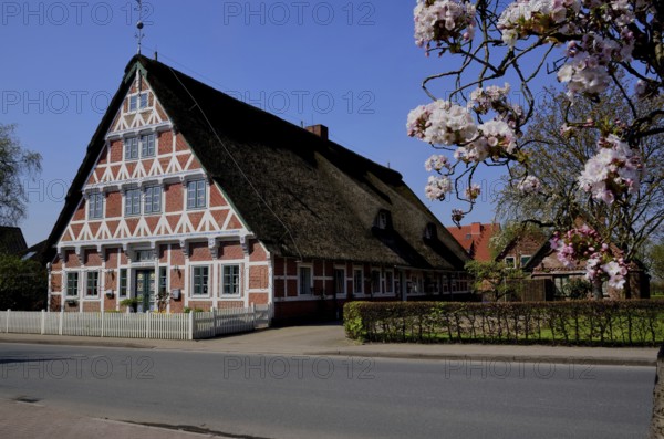 Deutschland, Niedersachsen, Steinkirchen, Bauernhaus mit Holzfachwerk