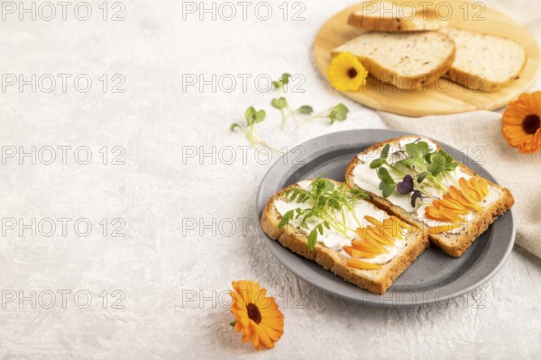White bread sandwiches with cream cheese, calendula petals and microgreen radish and tagetes on