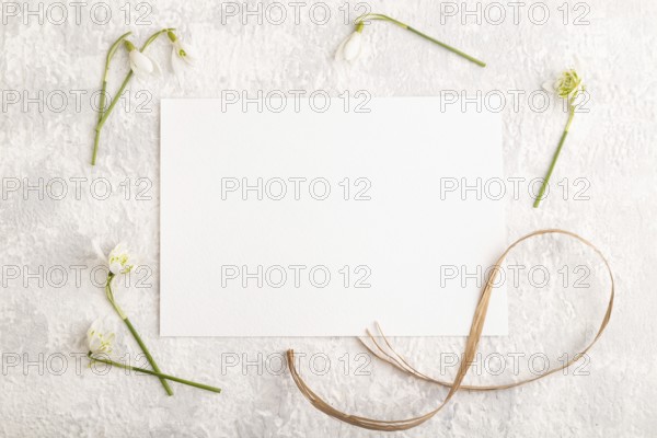 White paper sheet mockup with spring snowdrop galanthus flowers on gray concrete background. Blank,