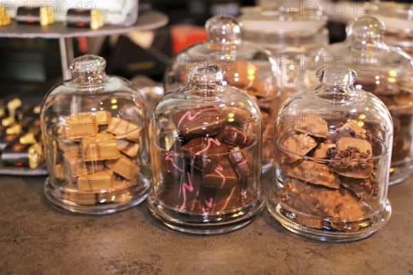 Variation of homemade chocolates