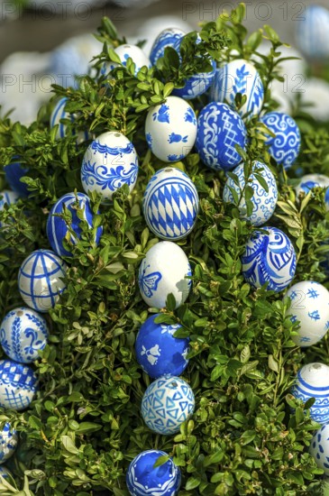 Hand-painted Easter eggs in Bavarian colours white and blue, Easter fountain, Ludwigsbrunnen,